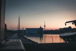 DEKEL - Kiel, Germany - Thomas Grams.jpg Photo